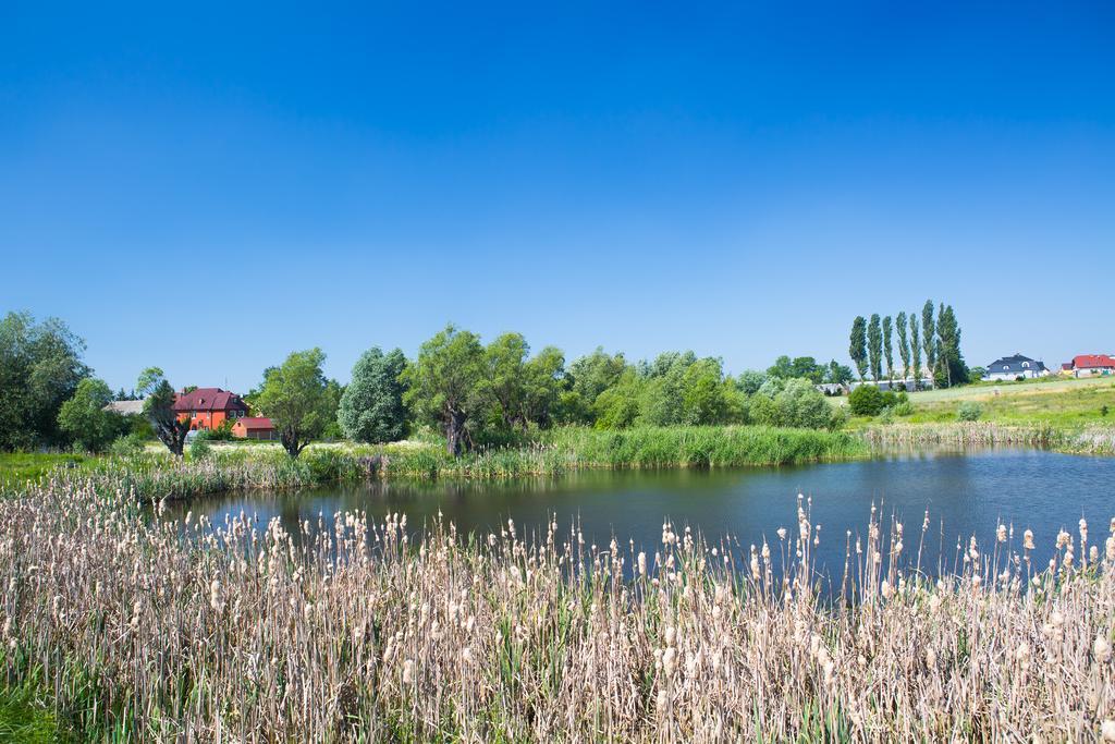 Zloty Staw Bed and Breakfast Borkowo  Εξωτερικό φωτογραφία